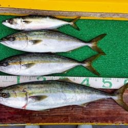 火遠理丸(ほおりまる) 釣果