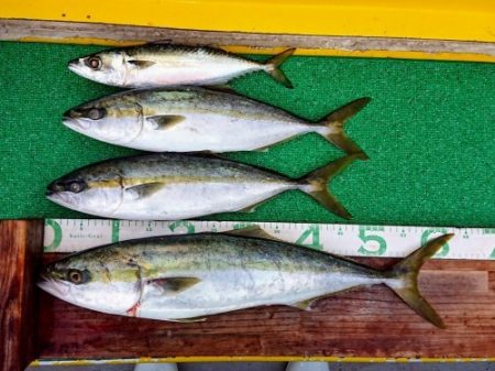 火遠理丸(ほおりまる) 釣果