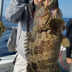 第五慶門丸 釣果