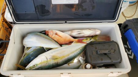 遊漁船　ニライカナイ 釣果