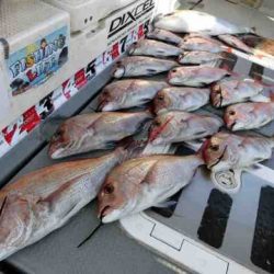 遊漁船 セトマリン 釣果