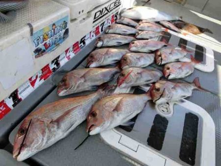 遊漁船 セトマリン 釣果