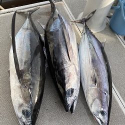 へいみつ丸 釣果