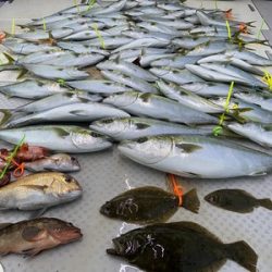 ミタチ丸 釣果