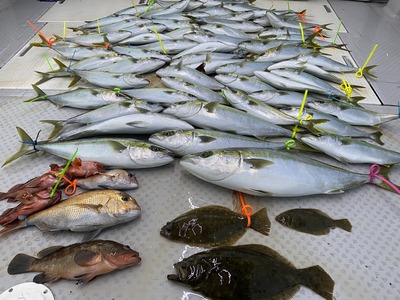 ミタチ丸 釣果
