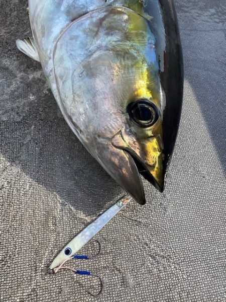 へいみつ丸 釣果