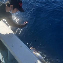 第五慶門丸 釣果