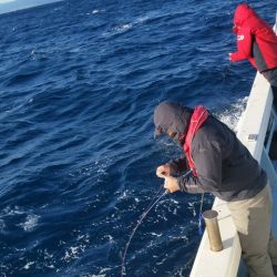 第五慶門丸 釣果