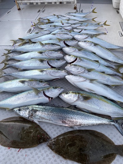 ミタチ丸 釣果