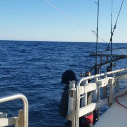 第五慶門丸 釣果