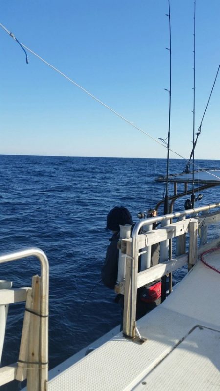 第五慶門丸 釣果