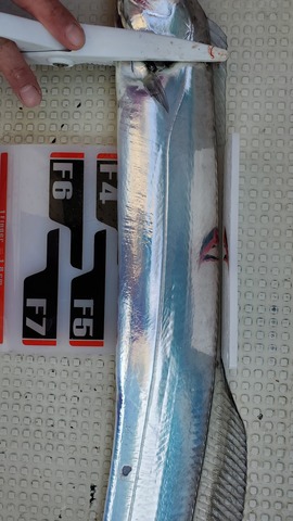 遊漁船 ニライカナイ 釣果