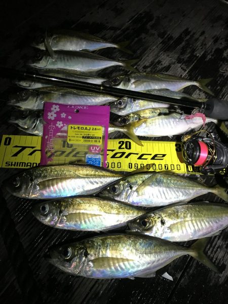 良型アジ連続ヒット！【がまかつ LUXXE宵姫　インプレッション】