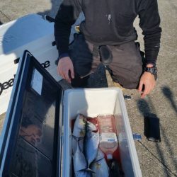 第五慶門丸 釣果