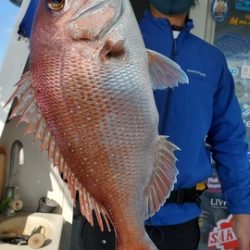 遊漁船 ニライカナイ 釣果