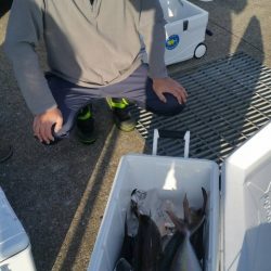 第五慶門丸 釣果