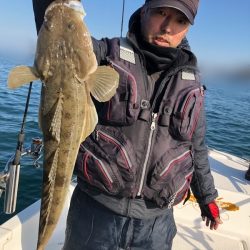 Magic（マジック） 釣果