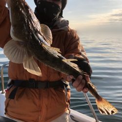 Magic（マジック） 釣果