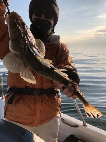 Magic（マジック） 釣果