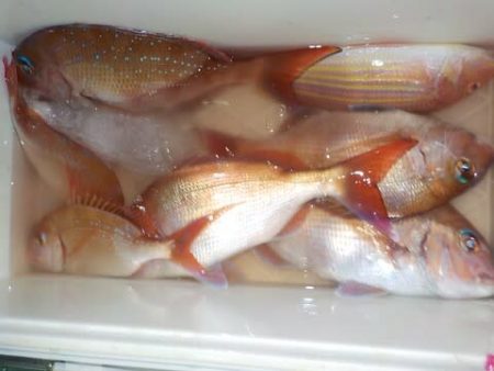 第二むつ漁丸 釣果