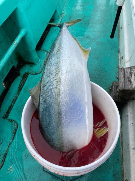 広進丸 釣果