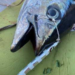 へいみつ丸 釣果