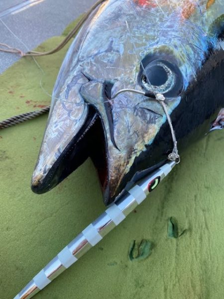 へいみつ丸 釣果