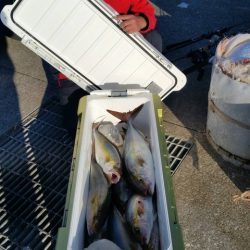 第五慶門丸 釣果