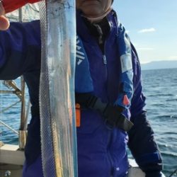 遊漁船 ニライカナイ 釣果