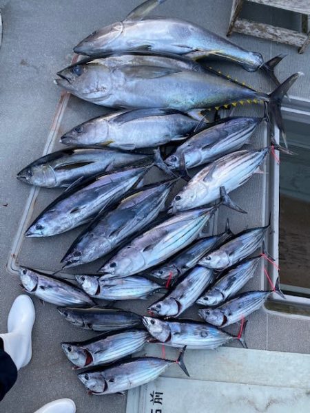 へいみつ丸 釣果