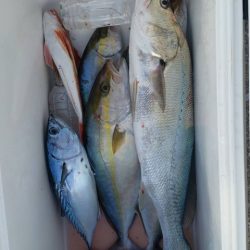 第五慶門丸 釣果