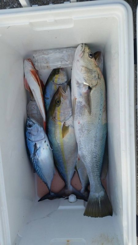 第五慶門丸 釣果