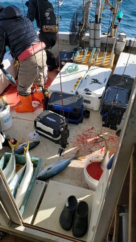 遊漁船　ニライカナイ 釣果