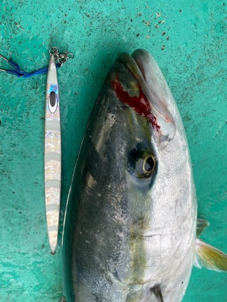 広進丸 釣果