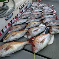 遊漁船 セトマリン 釣果