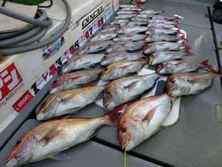 遊漁船 セトマリン 釣果