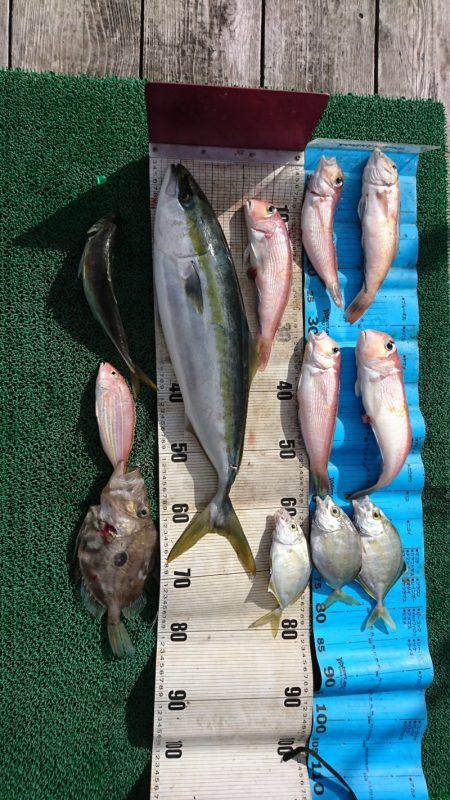 正幸丸 釣果