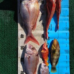 正幸丸 釣果