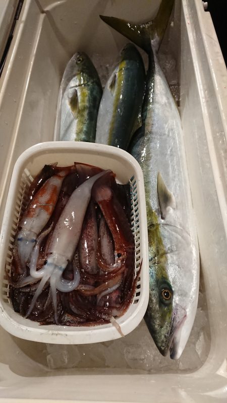 魁皇 釣果