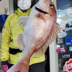 遊漁船 ニライカナイ 釣果