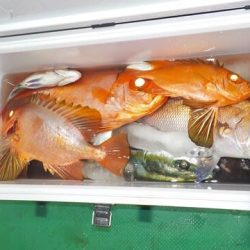 第二むつ漁丸 釣果