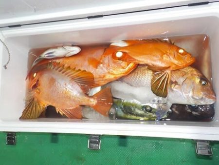 第二むつ漁丸 釣果