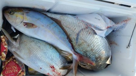 第五慶門丸 釣果