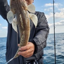 遊漁船 ニライカナイ 釣果