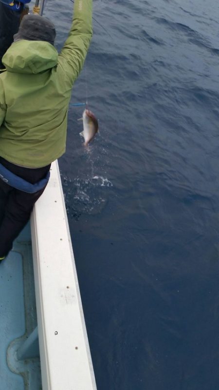 第五慶門丸 釣果