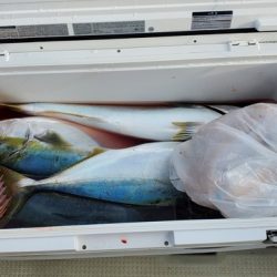 遊漁船　ニライカナイ 釣果
