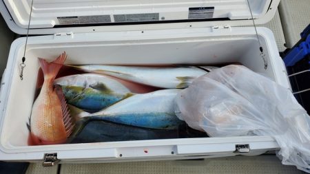 遊漁船　ニライカナイ 釣果