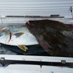 第二大福丸 釣果