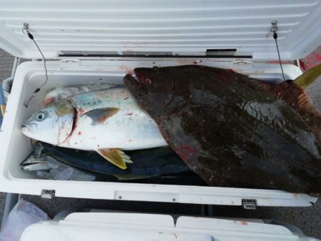 第二大福丸 釣果