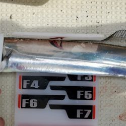 遊漁船 ニライカナイ 釣果